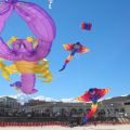 Festival of the Winds